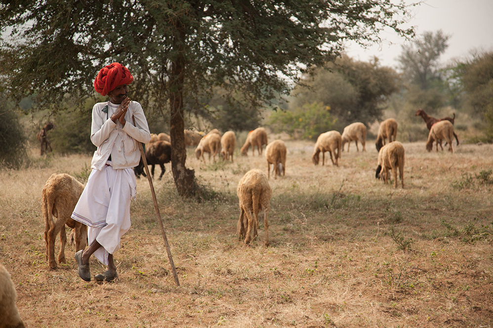jaisalmer havelis